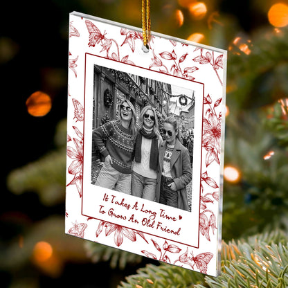 Custom Photo Christmas Gifts For Friends No One Will Ever Be As Entertained - Personalized Ornament